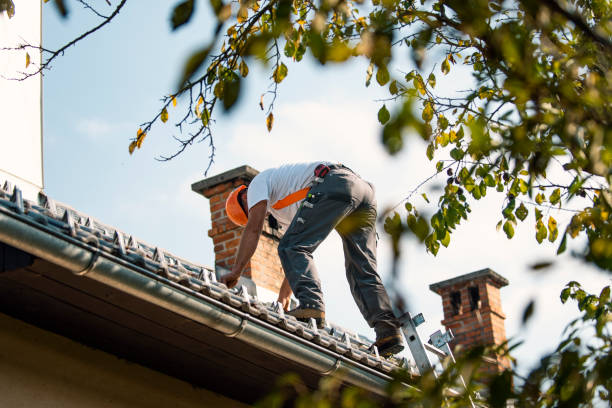 Roof Gutter Cleaning in Ida Grove, IA
